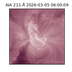 saia - 2026-03-05T06:00:09.629000