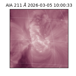 saia - 2026-03-05T10:00:33.618000