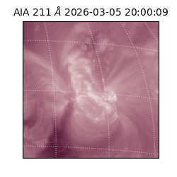 saia - 2026-03-05T20:00:09.626000