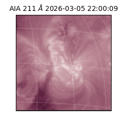 saia - 2026-03-05T22:00:09.632000