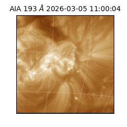 saia - 2026-03-05T11:00:04.843000