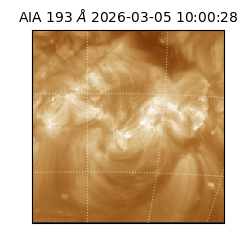saia - 2026-03-05T10:00:28.835000