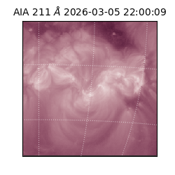 saia - 2026-03-05T22:00:09.632000