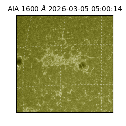 saia - 2026-03-05T05:00:14.125000