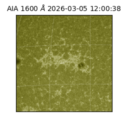 saia - 2026-03-05T12:00:38.125000