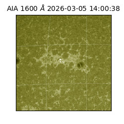 saia - 2026-03-05T14:00:38.126000