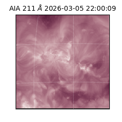 saia - 2026-03-05T22:00:09.632000