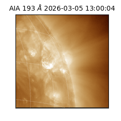 saia - 2026-03-05T13:00:04.843000