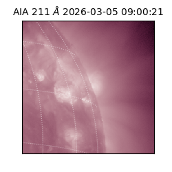 saia - 2026-03-05T09:00:21.631000
