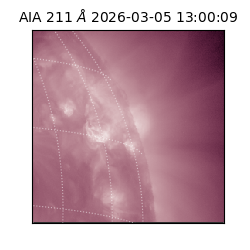 saia - 2026-03-05T13:00:09.629000