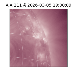 saia - 2026-03-05T19:00:09.618000