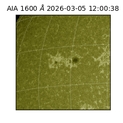 saia - 2026-03-05T12:00:38.125000