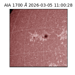 saia - 2026-03-05T11:00:28.717000