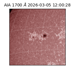 saia - 2026-03-05T12:00:28.717000