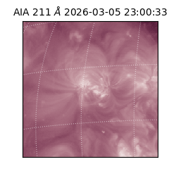 saia - 2026-03-05T23:00:33.626000