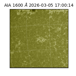 saia - 2026-03-05T17:00:14.118000