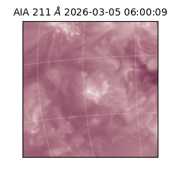 saia - 2026-03-05T06:00:09.629000