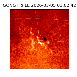 gong - 2026-03-05T01:02:42