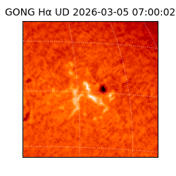 gong - 2026-03-05T07:00:02