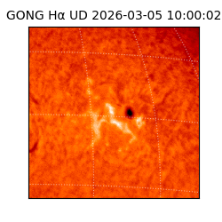 gong - 2026-03-05T10:00:02