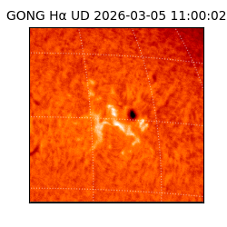 gong - 2026-03-05T11:00:02