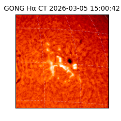 gong - 2026-03-05T15:00:42