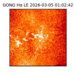 gong - 2026-03-05T01:02:42