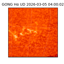 gong - 2026-03-05T04:00:02