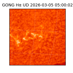 gong - 2026-03-05T05:00:02