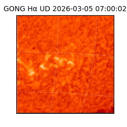 gong - 2026-03-05T07:00:02