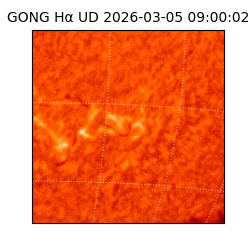 gong - 2026-03-05T09:00:02