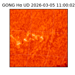 gong - 2026-03-05T11:00:02