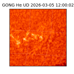 gong - 2026-03-05T12:00:02