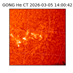 gong - 2026-03-05T14:00:42