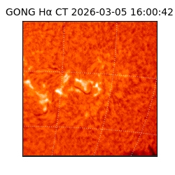 gong - 2026-03-05T16:00:42