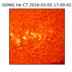 gong - 2026-03-05T17:00:42