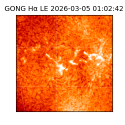 gong - 2026-03-05T01:02:42