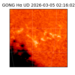 gong - 2026-03-05T02:16:02