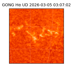 gong - 2026-03-05T03:07:02