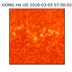 gong - 2026-03-05T07:00:02