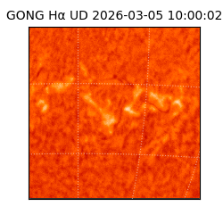 gong - 2026-03-05T10:00:02