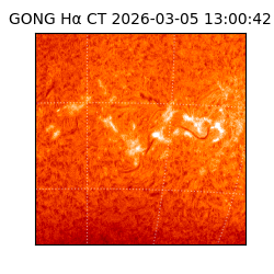 gong - 2026-03-05T13:00:42