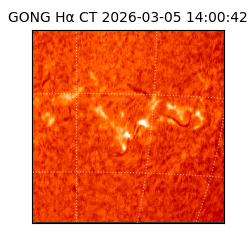 gong - 2026-03-05T14:00:42