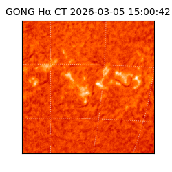 gong - 2026-03-05T15:00:42