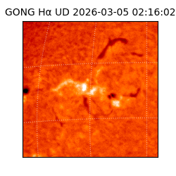 gong - 2026-03-05T02:16:02