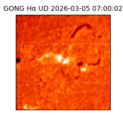 gong - 2026-03-05T07:00:02