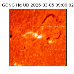 gong - 2026-03-05T09:00:02