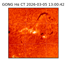 gong - 2026-03-05T13:00:42