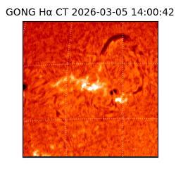 gong - 2026-03-05T14:00:42