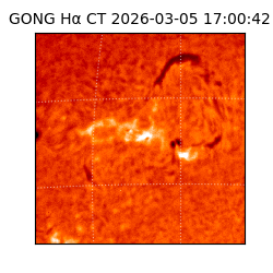 gong - 2026-03-05T17:00:42